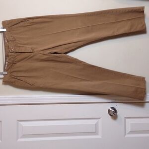 Gap 1969 Men's dark Khaki Chino's